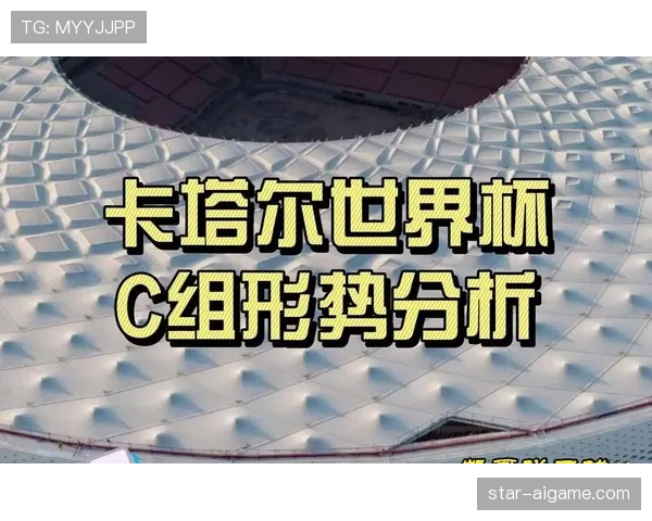 世界杯C组专家观点分析